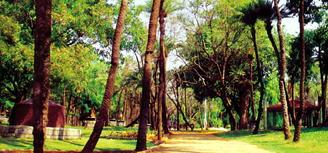 Indira Park
